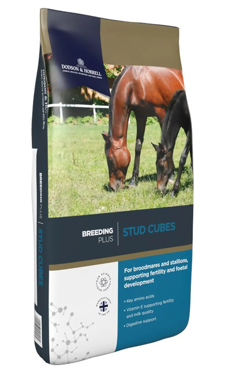 Dodson and Horrell Stud Cubes